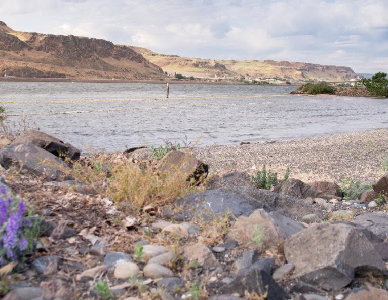 Maryhill State Park, Washington, USA